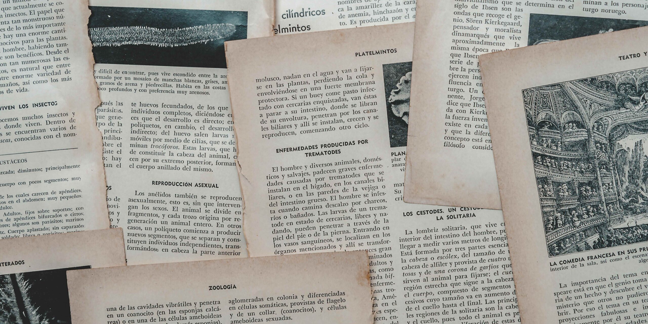 Spanish Language Course in Delhi